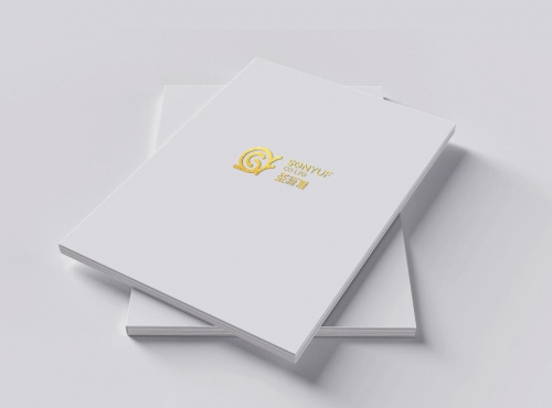 企業(yè)畫冊設(shè)計有哪些風格?