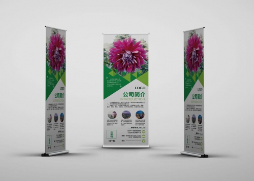 易拉寶常規(guī)尺寸有那些？